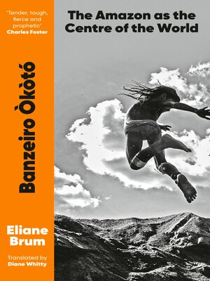 cover image of Banzeiro Òkòtó